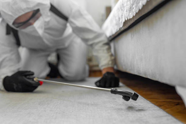 Professional Bed Bug Control technician working in West Freehold, NJ