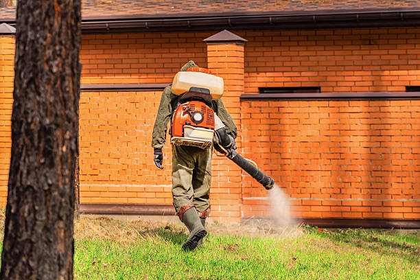 Trusted Emergency Pest Control service in West Freehold, NJ - Nex Pest Control